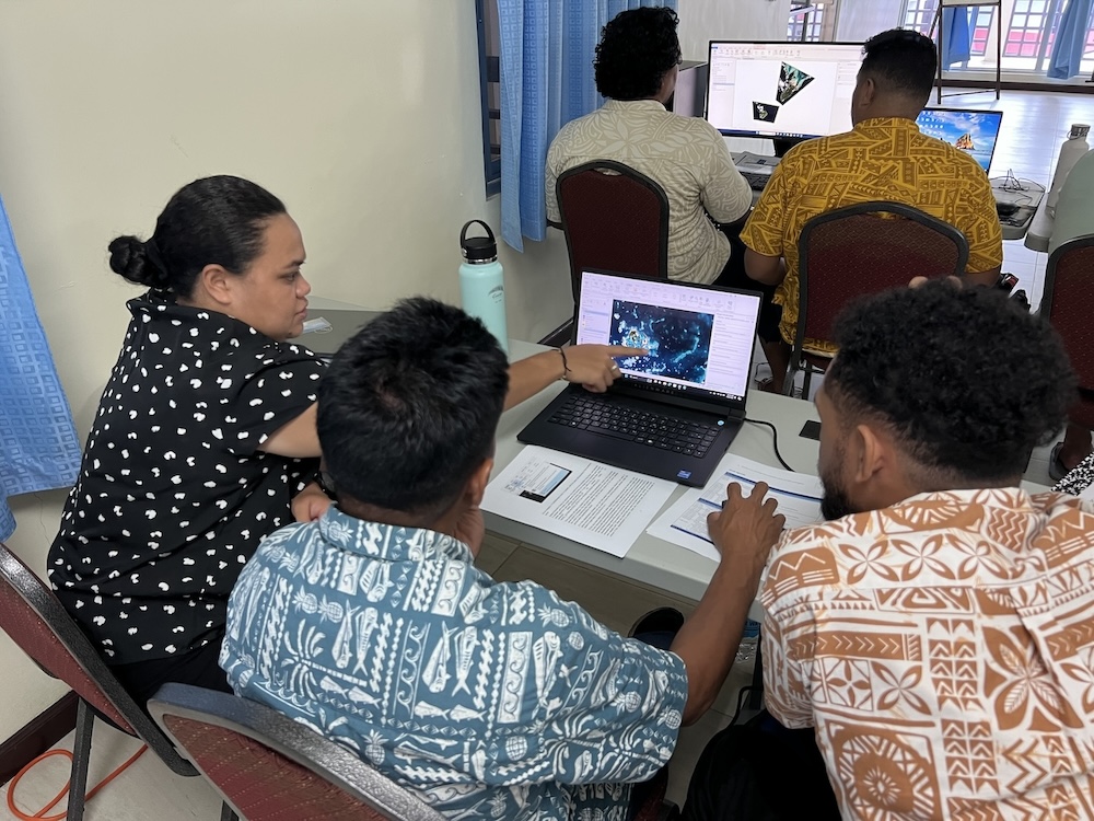 What the network does image