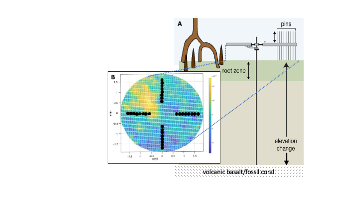 rSET and LiDAR example